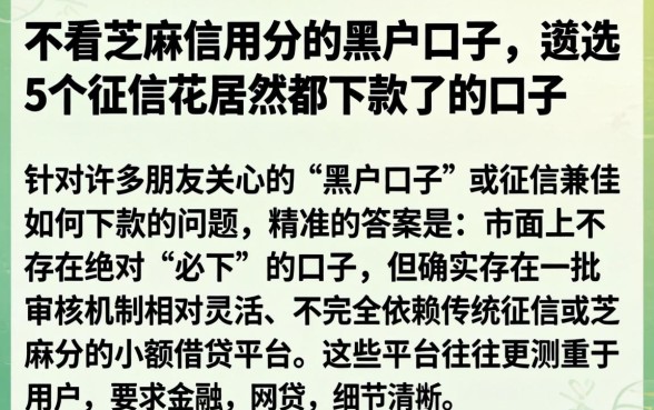 不看芝麻信用分的黑户口子,遴选5个征信花居然都下款了的口子