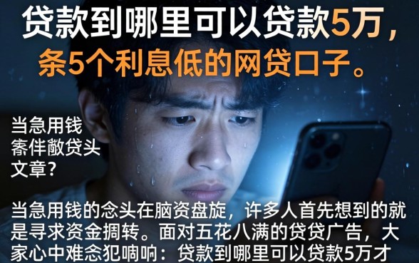 贷款到哪里可以贷款5万，条列5个利息低的网贷口子