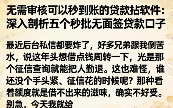 无需审核可以秒到账的贷款的软件，深入剖析五个秒批无面签贷款口子