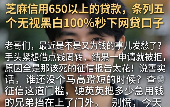 芝麻信用650以上的贷款，条列五个无视黑白100%秒下网贷口子