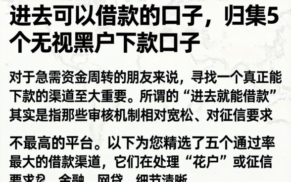 进去可以借款的口子，归集5个无视黑户下款口子