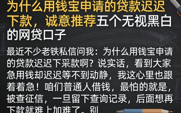 为什么用钱宝申请的贷款迟迟不下款，诚意推荐五个无视黑白的网贷口子