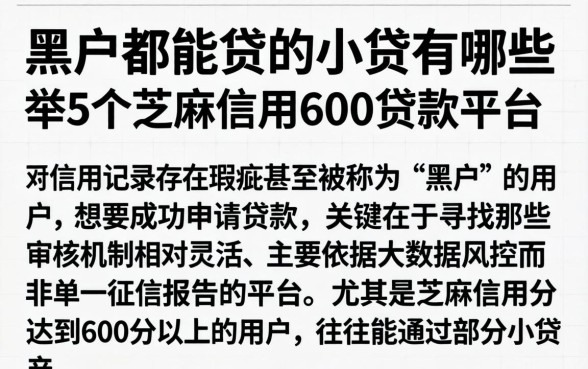 黑户都能贷的小贷有哪些，枚举5个芝麻信用600贷款平台