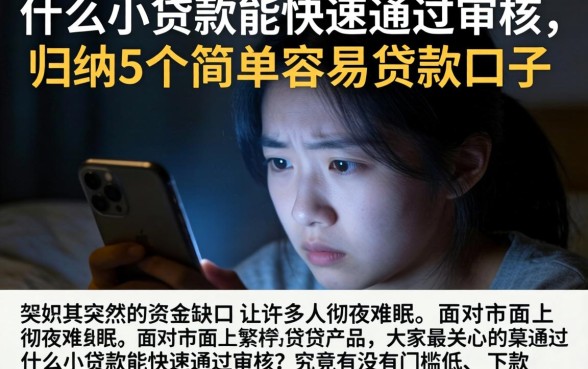 什么小贷款能快速通过审核，归纳5个简单容易贷款口子