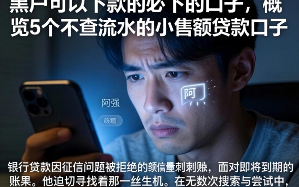 黑户可以下款的必下的口子，概览5个不查流水的小额度贷款口子