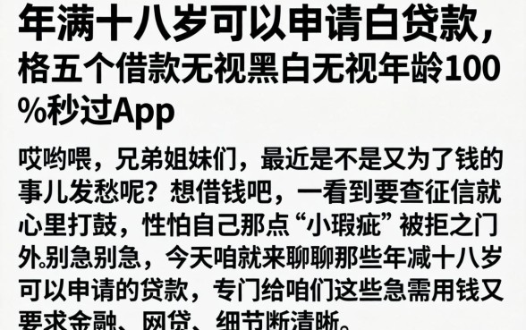 年满十八岁可以申请的贷款，枚举五个借款无视黑白无视年龄100%秒过app