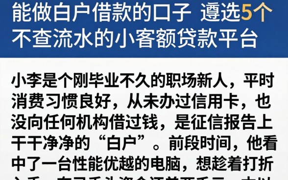 能做白户借款的口子，遴选5个不查流水的小额度贷款平台
