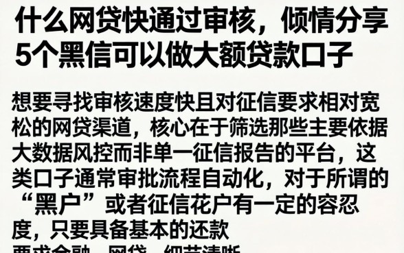 什么网贷快通过审核，倾情分享5个黑户可以做大额贷款口子