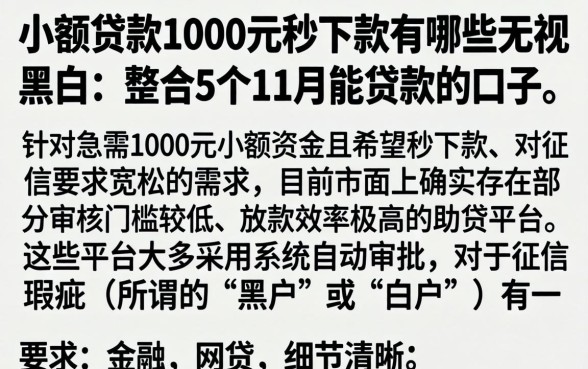 小额贷款1000元秒下款有哪些无视黑白，整合5个11月能贷款的口子
