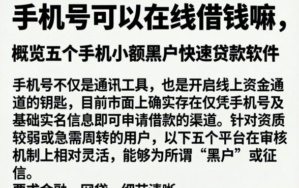 手机号可以在线借钱嘛,概览五个手机小额黑户快速贷款软件