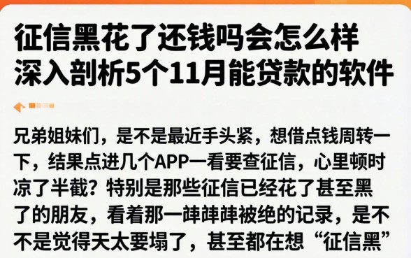 征信黑花了还钱吗会怎么样，深入剖析5个11月能贷款的软件