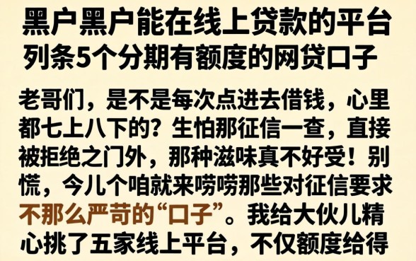 黑户黑户能在线上贷款的平台,条列5个分期有额度的网贷口子