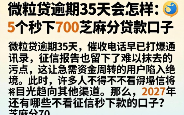 微粒贷逾期35天会怎样，枚举5个秒下700芝麻分贷款口子