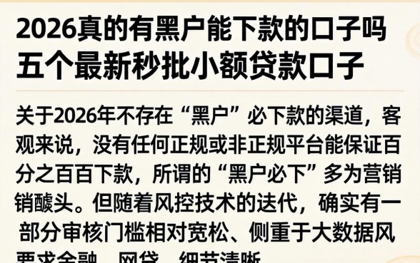 2026真的有黑户能下款的口子吗，详尽说明五个最新秒批小额贷款口子
