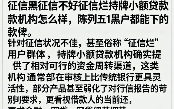 征信黑征信不好征信烂持牌小额贷款机构怎么样，陈列五个黑户都能下的软件