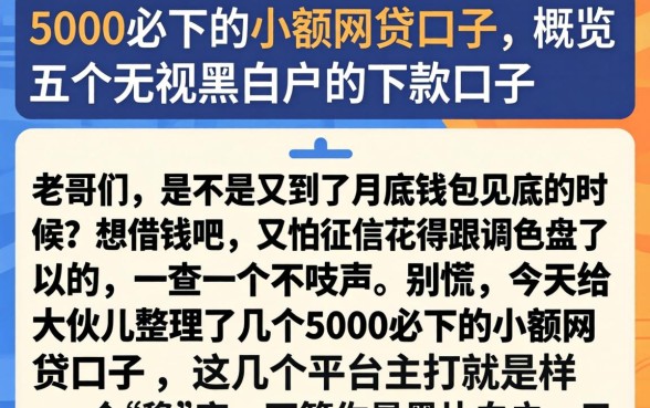 5000必下的小额网贷口子，概览五个无视黑白户的下款口子