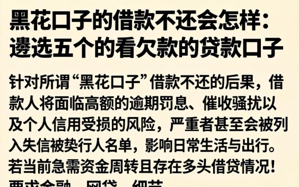 黑花口子的借款不还会怎样，遴选五个不看欠款的贷款口子