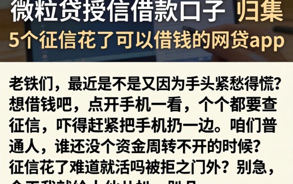 微粒贷授信借款口子，归集5个征信花了可以借钱的网贷app