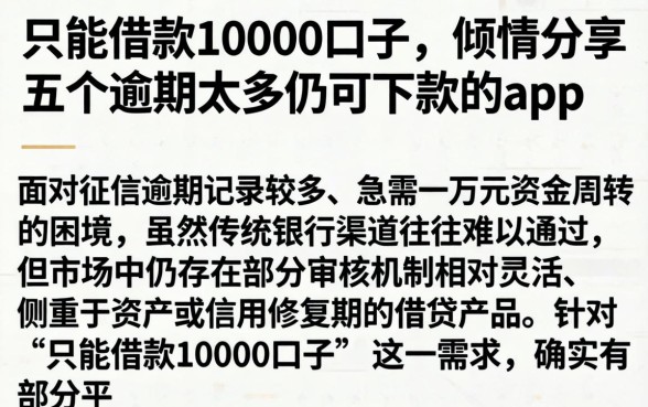 只能借款10000口子，倾情分享五个逾期太多仍可下款的app