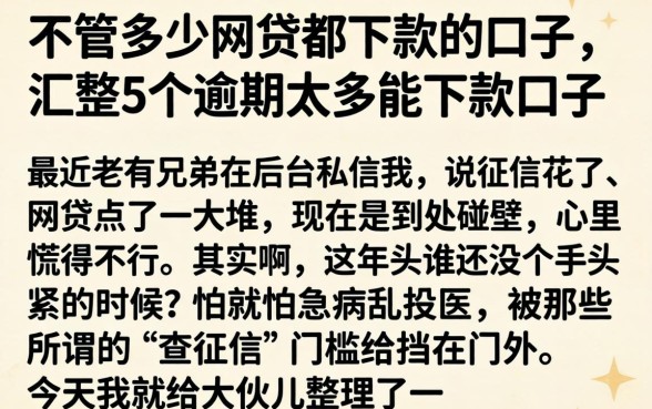 不管多少网贷都下款的口子，汇整5个逾期太多能下款口子