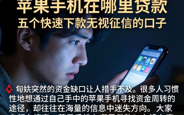 苹果手机在哪里贷款,概括五个快速下款无视征信的口子