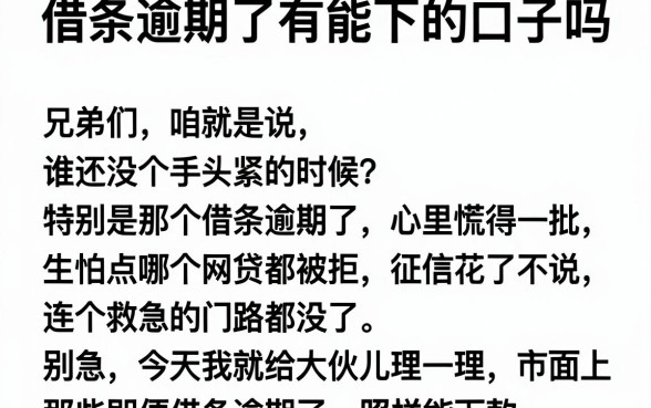 借条逾期了有能下的口子吗,理出5个大学生可以使用的口子
