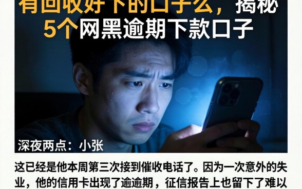 有回收好下的口子么，揭秘5个网黑逾期下款口子