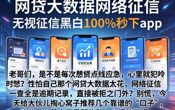 网贷大数据网络征信，陈列五个无视征信黑白100%秒下app