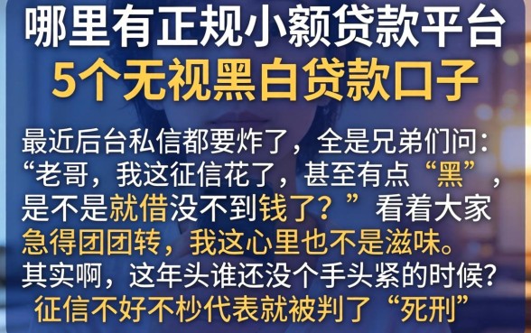 哪里有正规小额贷款平台，概括5个无视黑白贷款口子