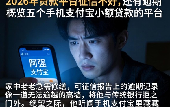 2026年贷款平台征信不好,还有逾期，概览五个手机支付宝小额贷款的平台