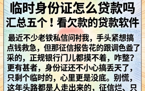 临时身份证怎么贷款吗，汇总五个不看欠款的贷款软件