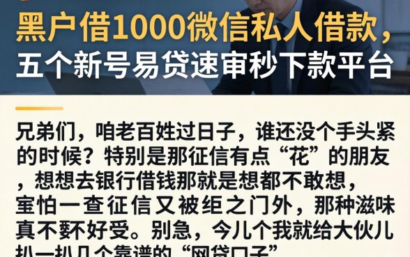 黑户借1000微信私人借款，详细阐述五个新号易贷速审秒下款平台