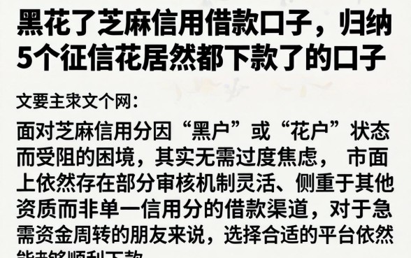 黑花了芝麻信用借款口子，归纳5个征信花居然都下款了的口子