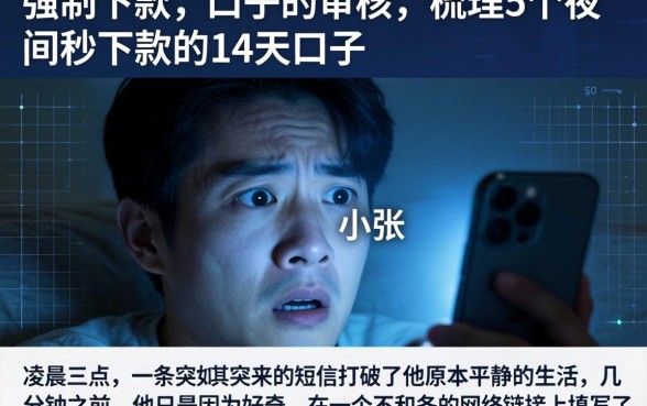 强制下款的口子不审核,梳理5个夜间秒下款的14天口子