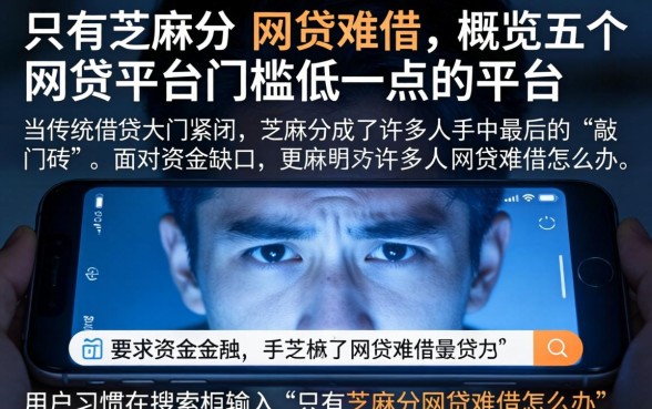 只有芝麻分 网贷难借，概览五个网贷平台门槛低一点的平台