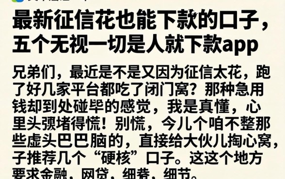 最新征信花也能下款的口子，详细阐述五个无视一切是人就下款app
