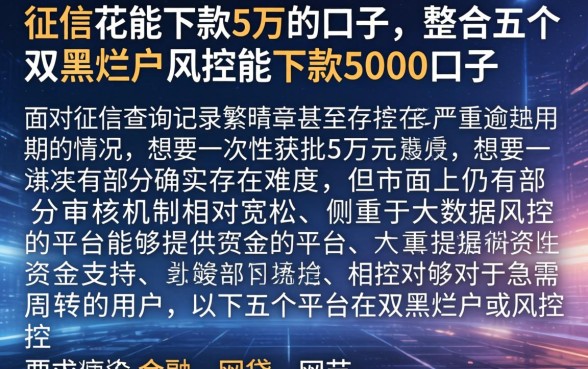 征信花能下款5万的口子,整合五个双黑烂户风控能下款5000口子