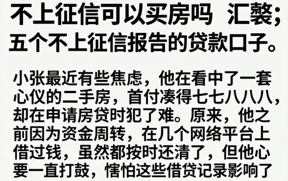 不上征信可以买房吗，汇整五个不上征信报告的贷款口子