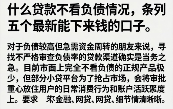 什么贷款不看负债情况，条列五个最新能下来钱的口子
