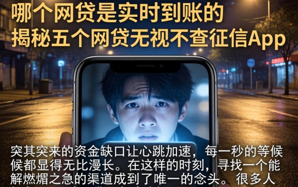 哪个网贷是实时到账的,揭秘五个网贷无视不查征信app