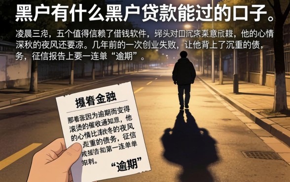 黑户有什么黑户贷款能过的口子，细致阐述五个值得信赖的借钱软件