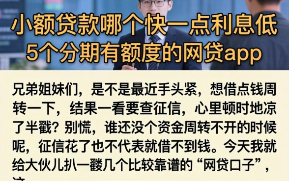 小额贷款哪个快一点利息低，概括5个分期有额度的网贷app