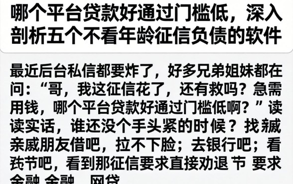 哪个平台贷款好通过门槛低，深入剖析五个不看年龄征信负债的软件