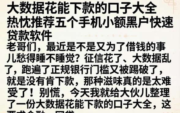 大数据花能下款的口子大全,热忱推荐五个手机小额黑户快速贷款软件