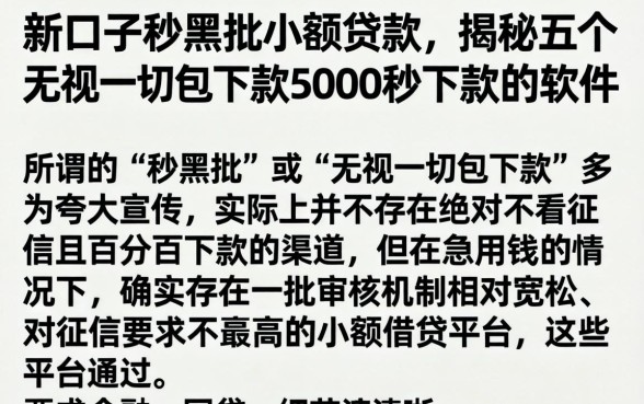 新口子秒黑批小额贷款，揭秘五个无视一切包下款5000秒下款的软件