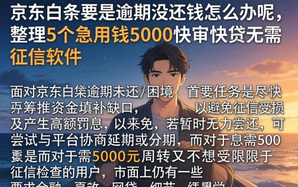京东白条要是逾期没还钱怎么办呢，整理5个急用钱5000快审快贷无需征信软件
