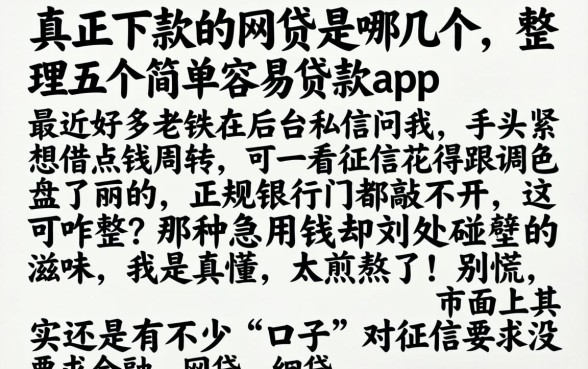 真正下款的网贷是哪几个，整理五个简单容易贷款app