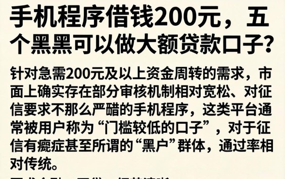 手机程序借钱200元，详细阐述五个黑户可以做大额贷款口子