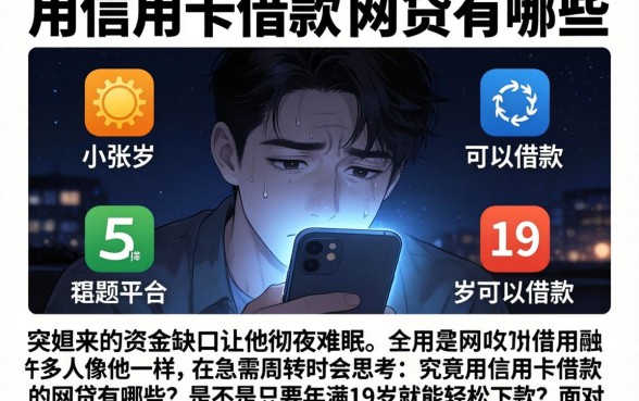 用信用卡借款的网贷有哪些，陈列五个满19岁可以借款的平台