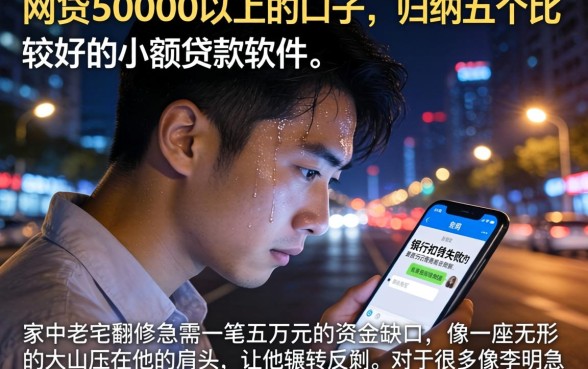 网贷50000以上的口子，归纳五个比较好的小额贷款软件